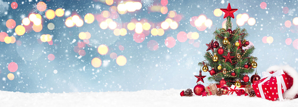 Exklusive Weihnachtsfeier mit Kindern in Berlin Prenzlauer Berg